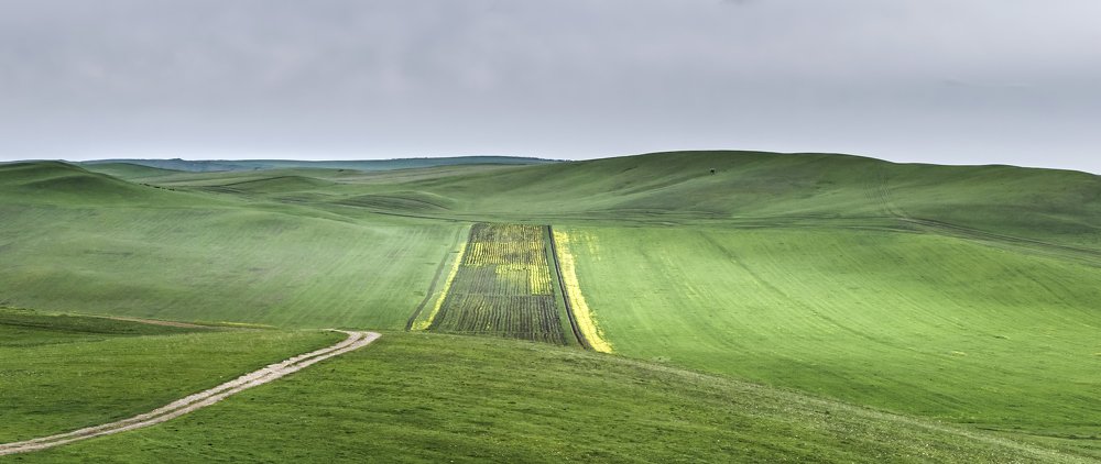 Photograph by Константин Гончаров