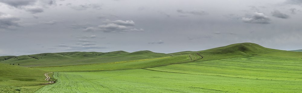 Photograph by Константин Гончаров