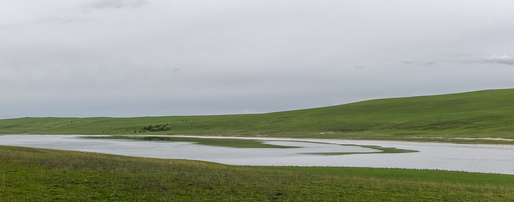 Photograph by Константин Гончаров