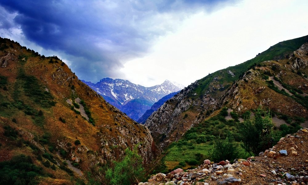 Photograph by Shukhrat Tulyaganov