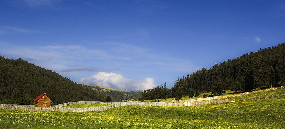 May in the Csíki mountains