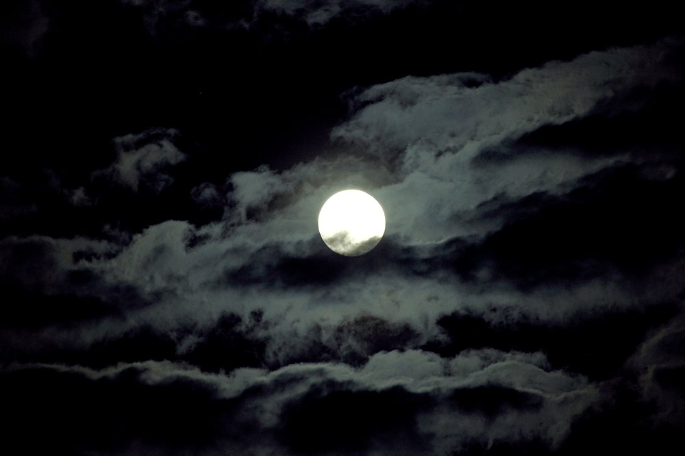 Photograph by 
