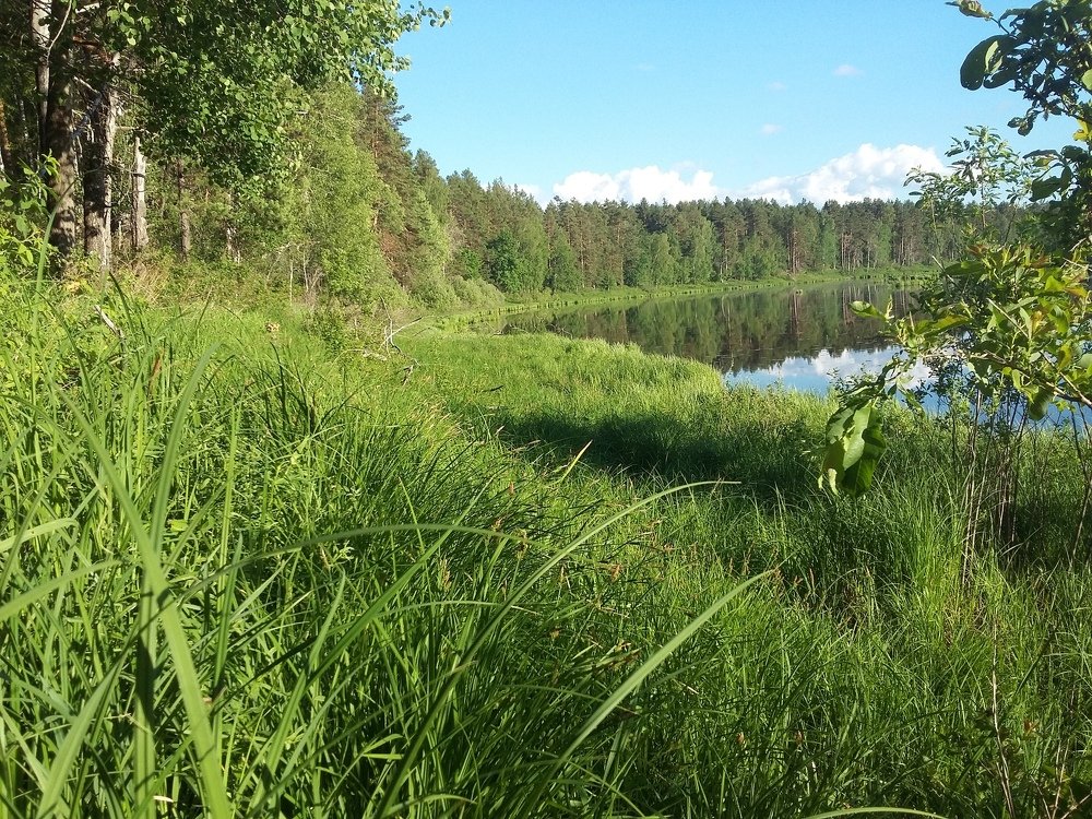 Photo #3708327