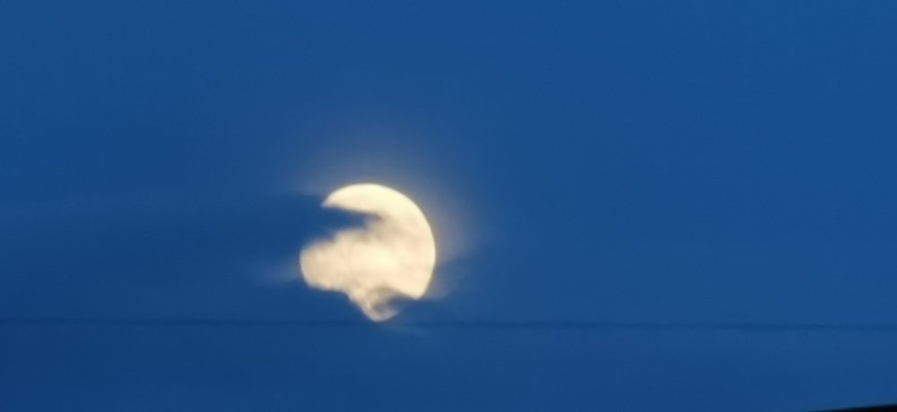 Photograph by Рутковская Жанна