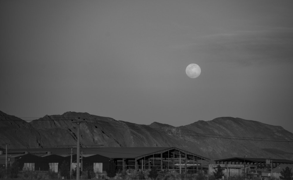 Photograph by  Reza Mohammadi