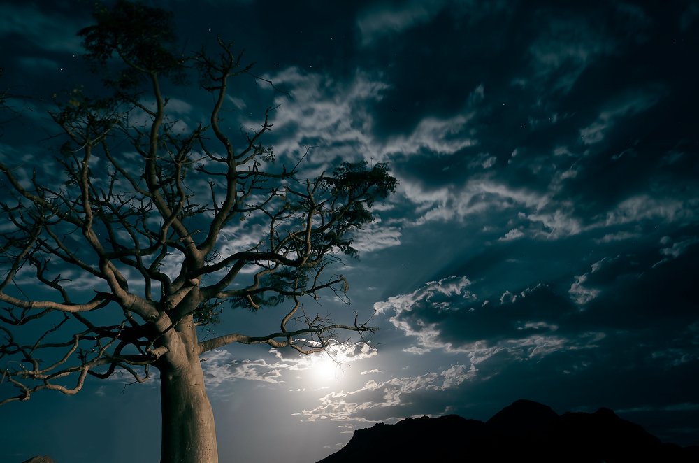 Где-то в пустыне Намиб...