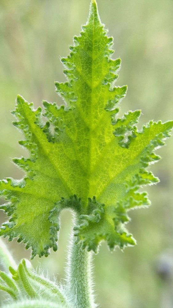 Photograph by Rosyid Muhammad