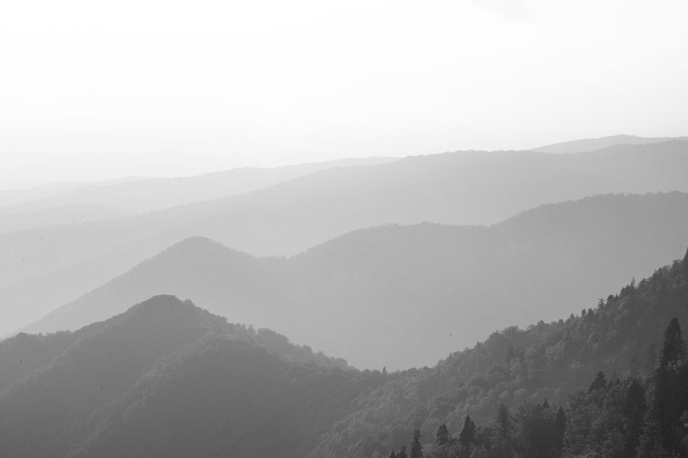 Photograph by Сергей Теплов