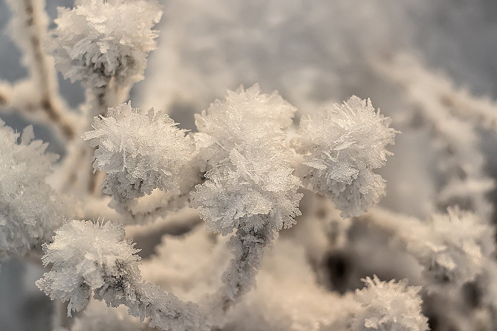 Photograph by Светлана Ржевская