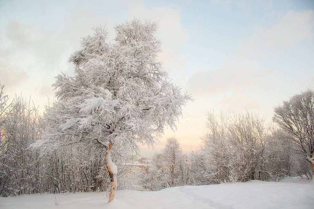 Photograph by Светлана Ржевская