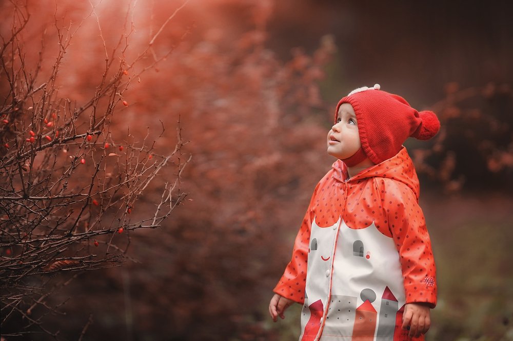 Фотография автора Яна Романова