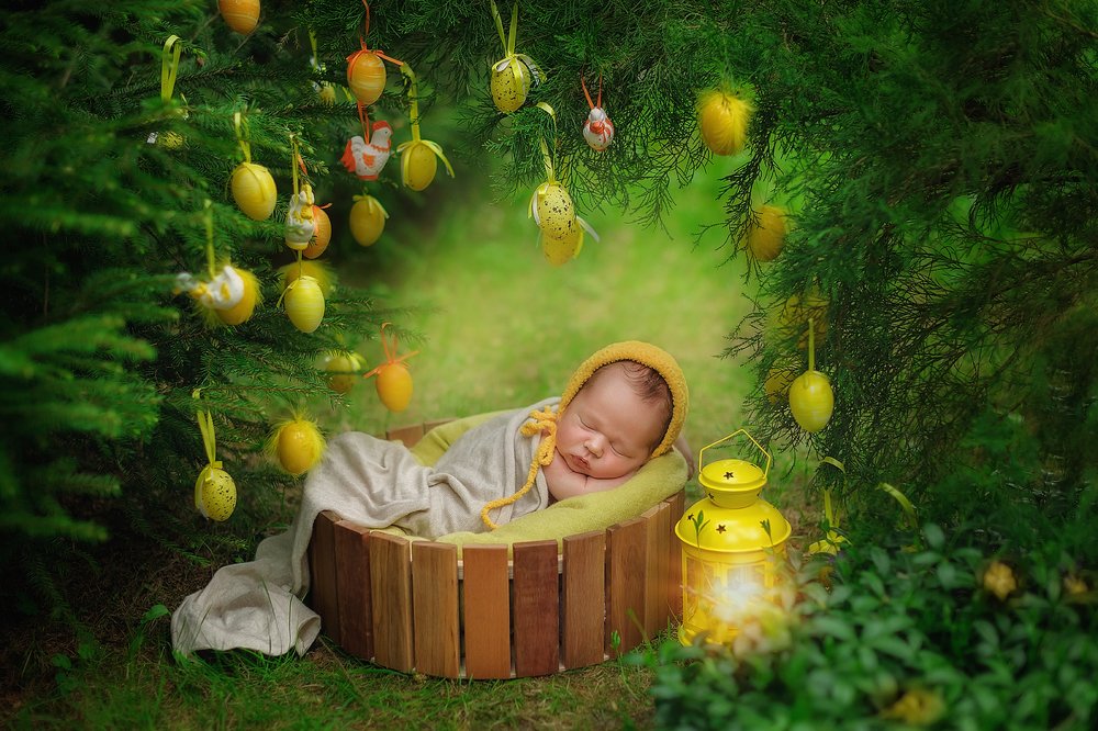 Фотография автора Яна Романова