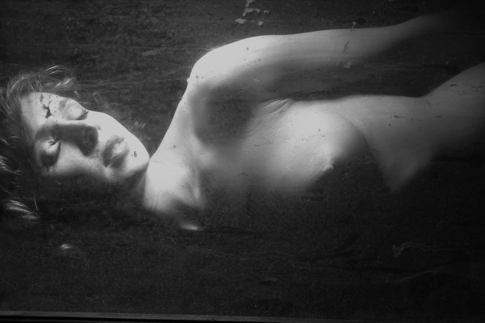 спящая красавица