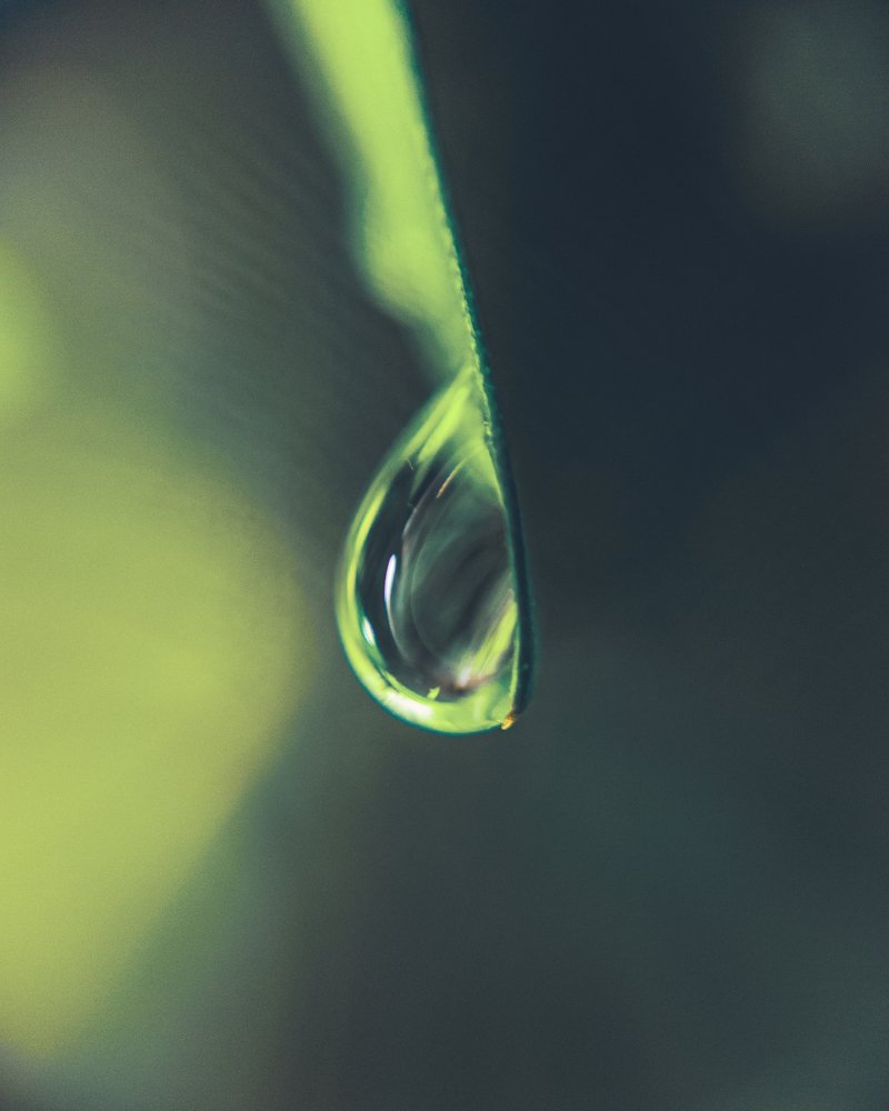 Photograph by Евгений Журихин