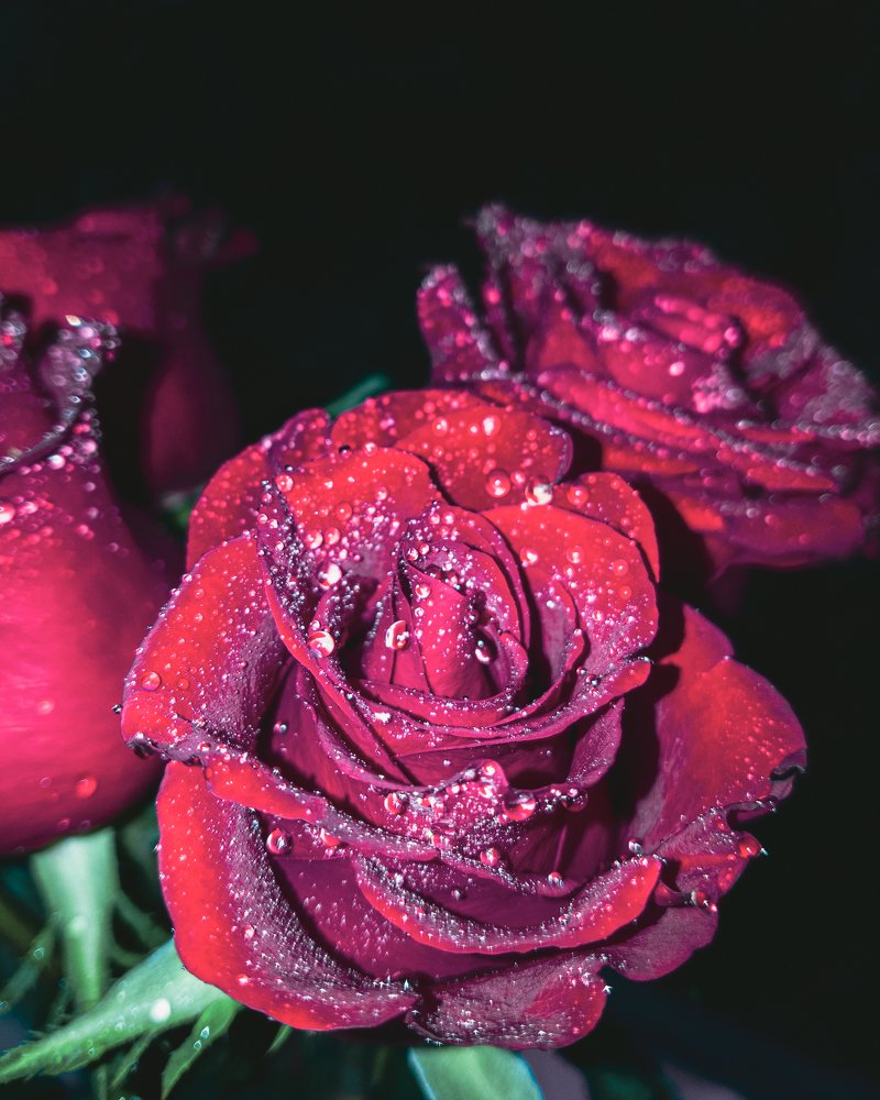 Photograph by Евгений Журихин