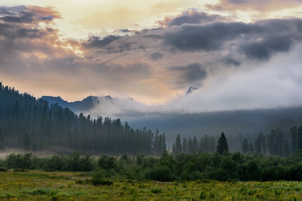 мой путь лежит туда, где виднеется гора в тумане...