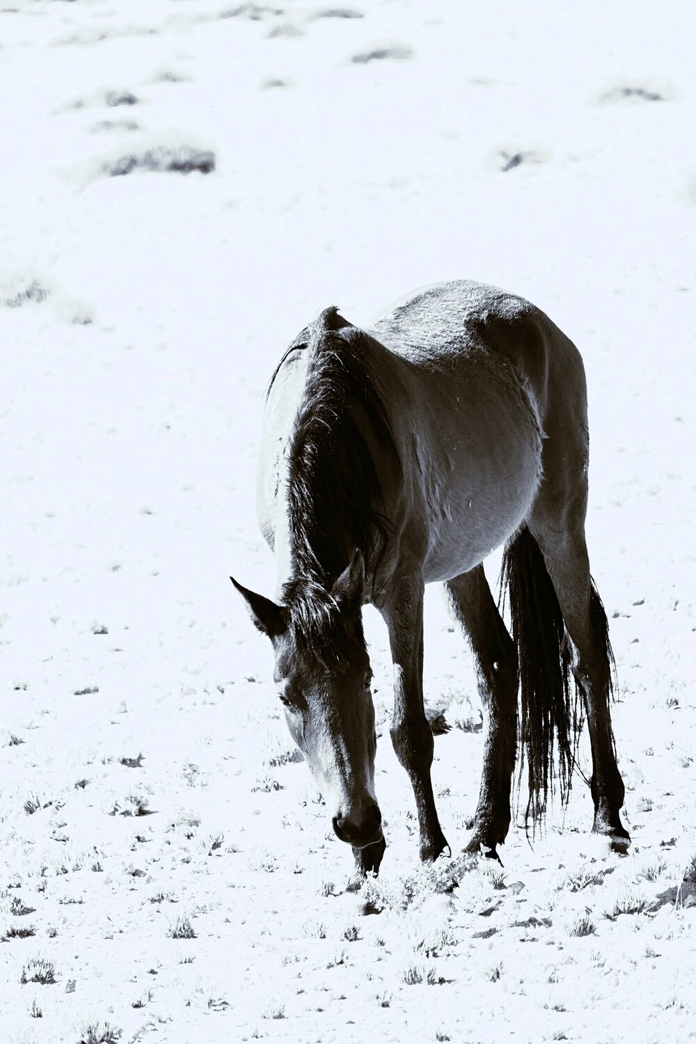 Photo #3708860