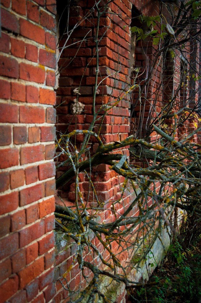 Photograph by Михаил Тюрев