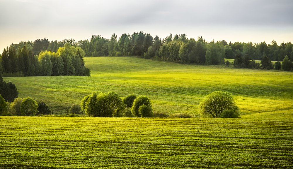 Фотография автора Vyacheslav Lozhkin