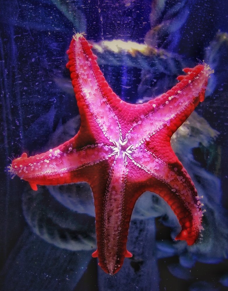 Photograph by Eva Wiedemann