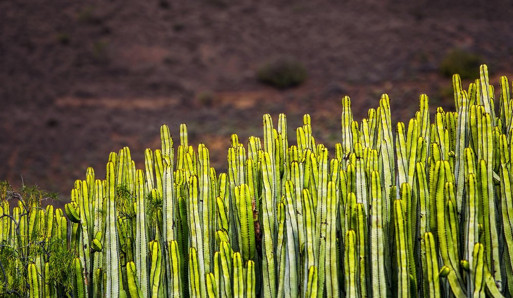 Фотография автора Vyacheslav Lozhkin