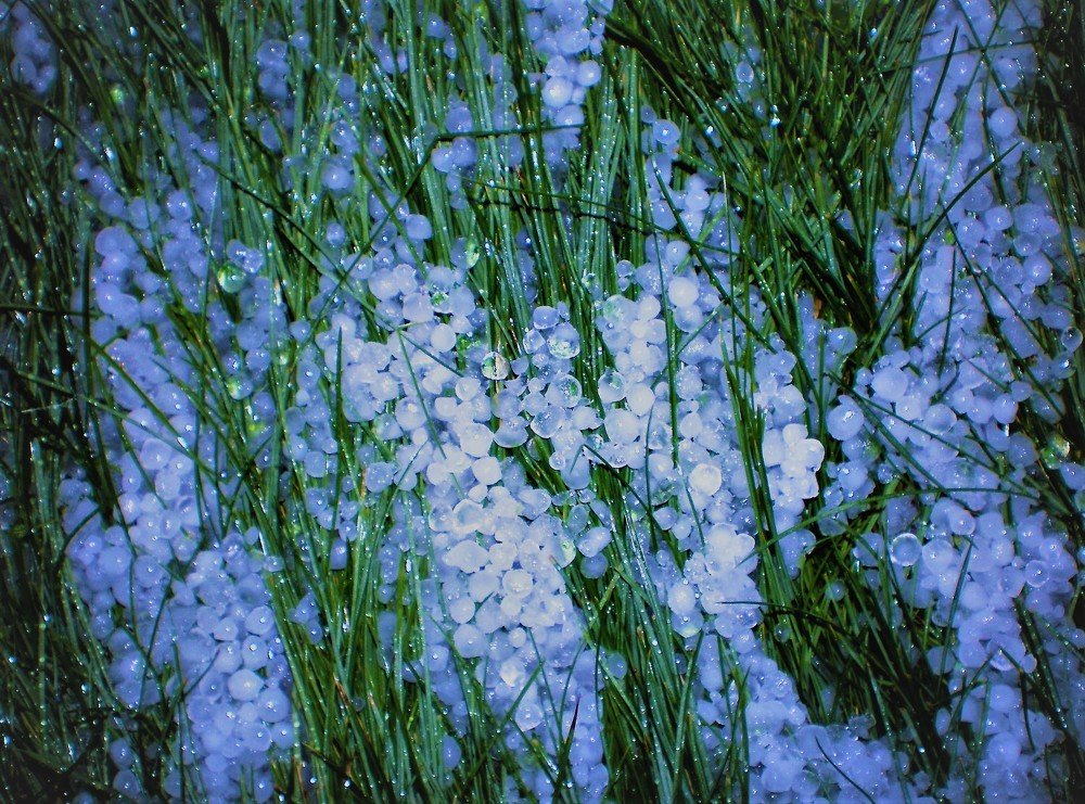 Photograph by Алия Байсыкова