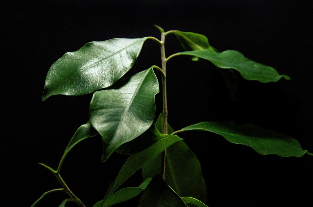 Photograph by Виталий Каргопольцев