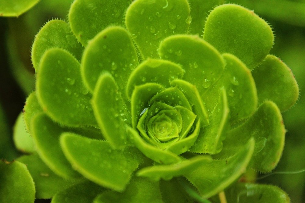 Photograph by Sourav Mahant