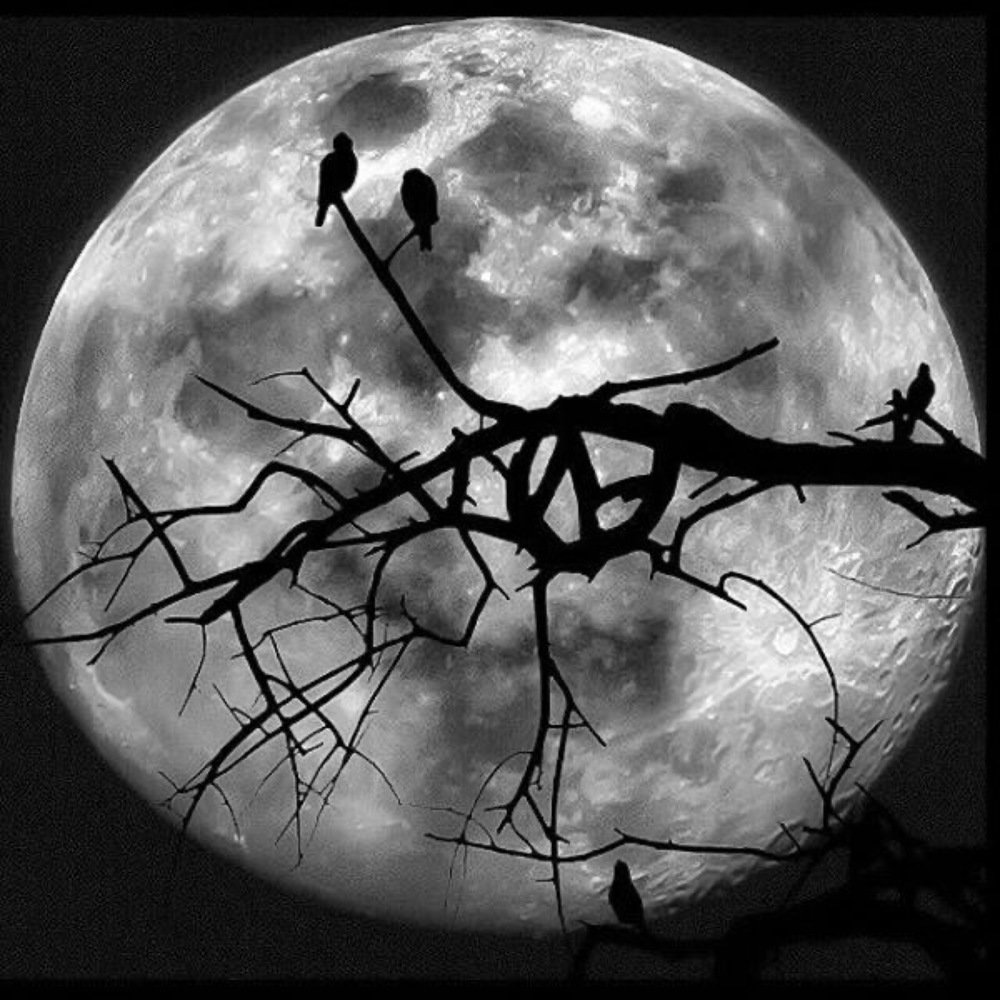 Photograph by Nyonika Rawal