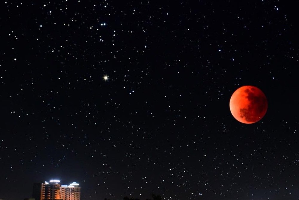 Photograph by Nyonika Rawal