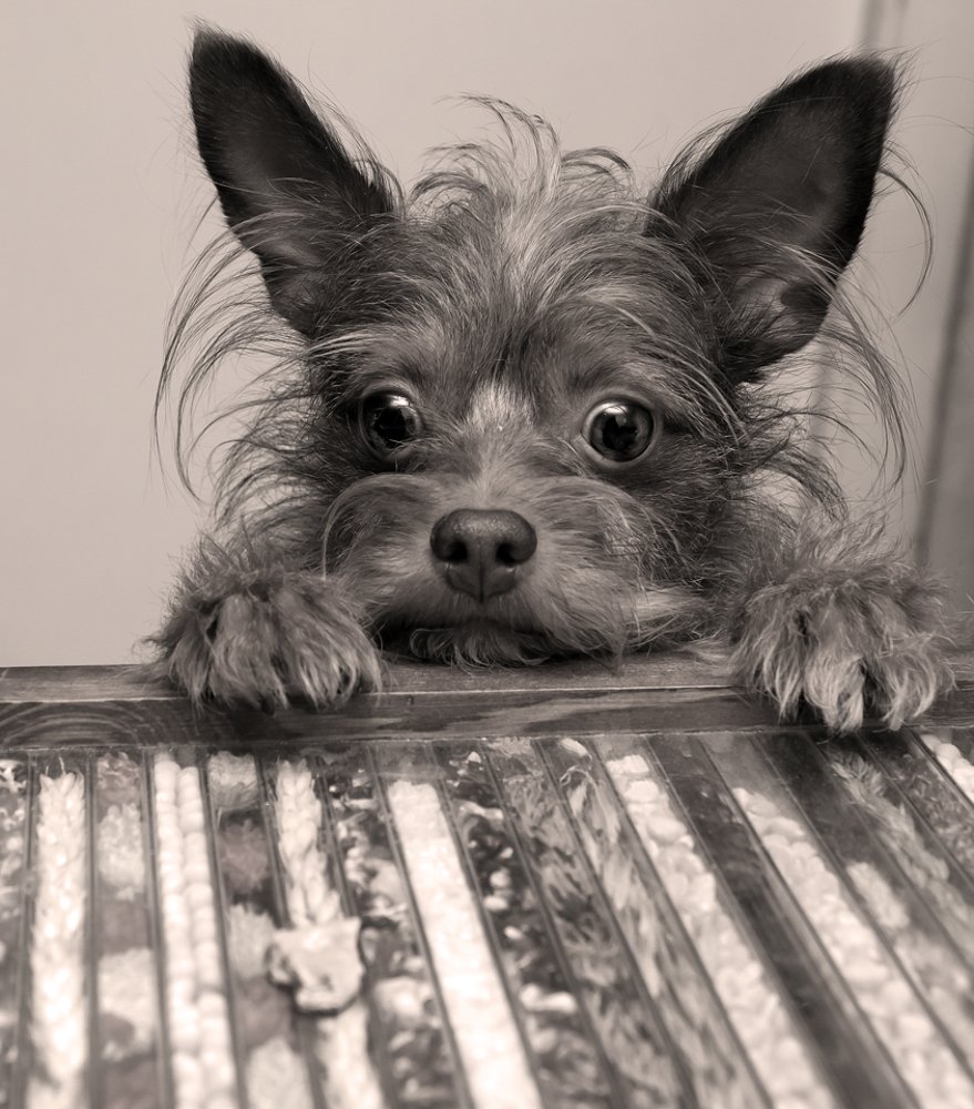 Photograph by Павел