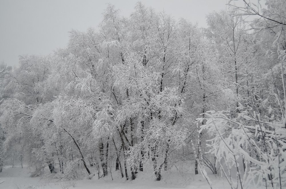 Photograph by Анна Астахова