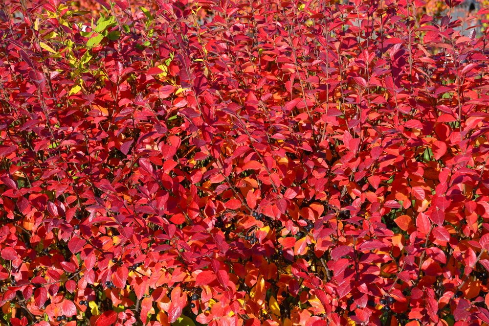 Photograph by Владислав Завальнюк