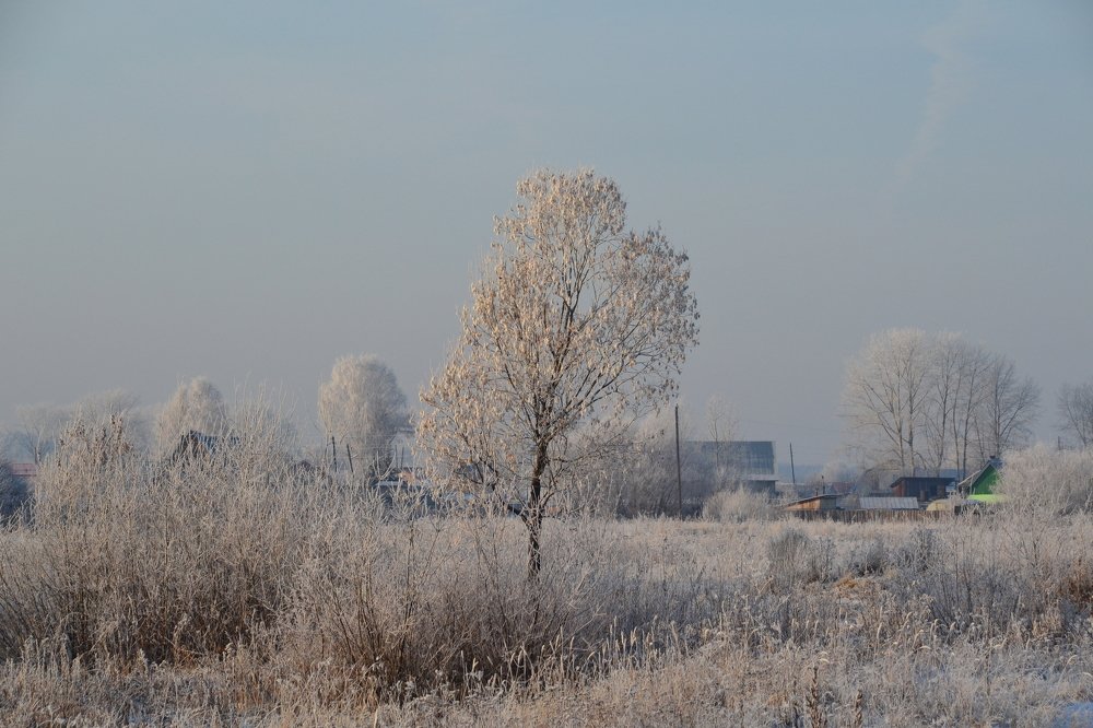 Photograph by Владислав Завальнюк