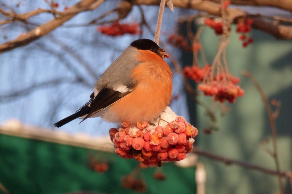 Photograph by Владислав Завальнюк