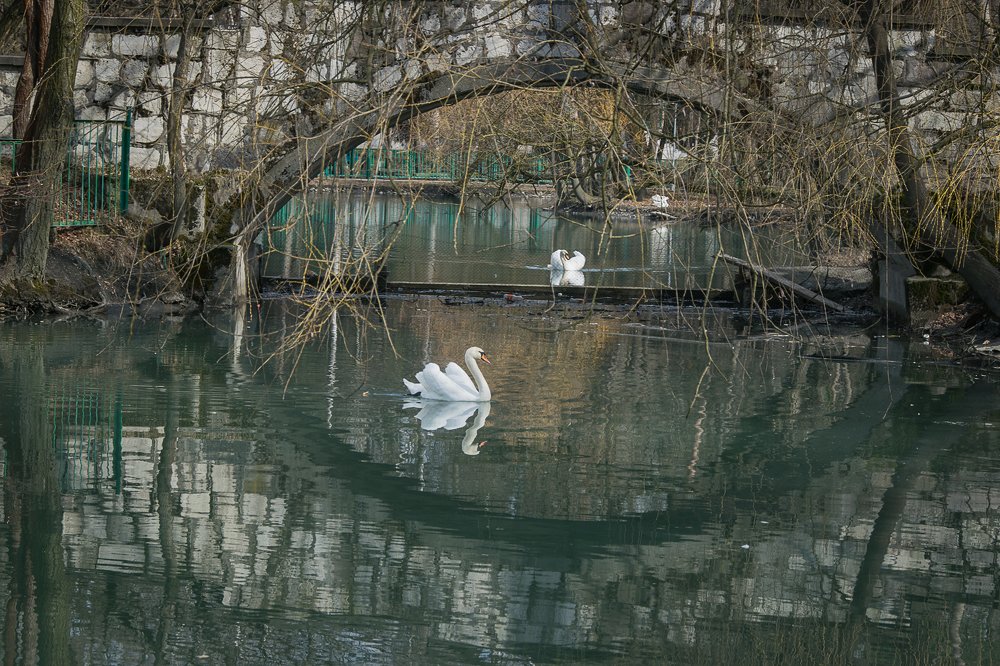 Фотография автора Оксана Белозерская