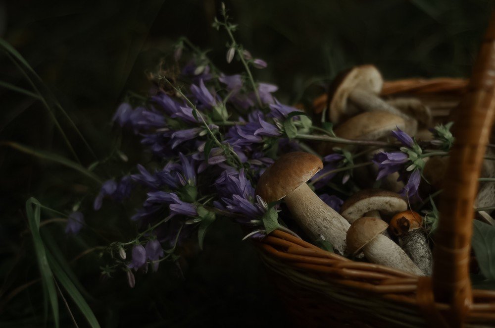 Photograph by Анна Астахова