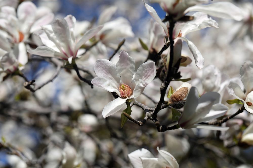 Photograph by Антонина Владимировна Завальнюк