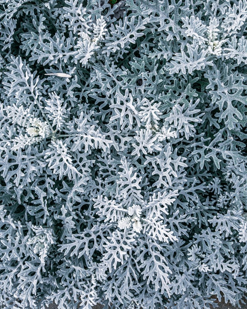 Photograph by Евгений Журихин