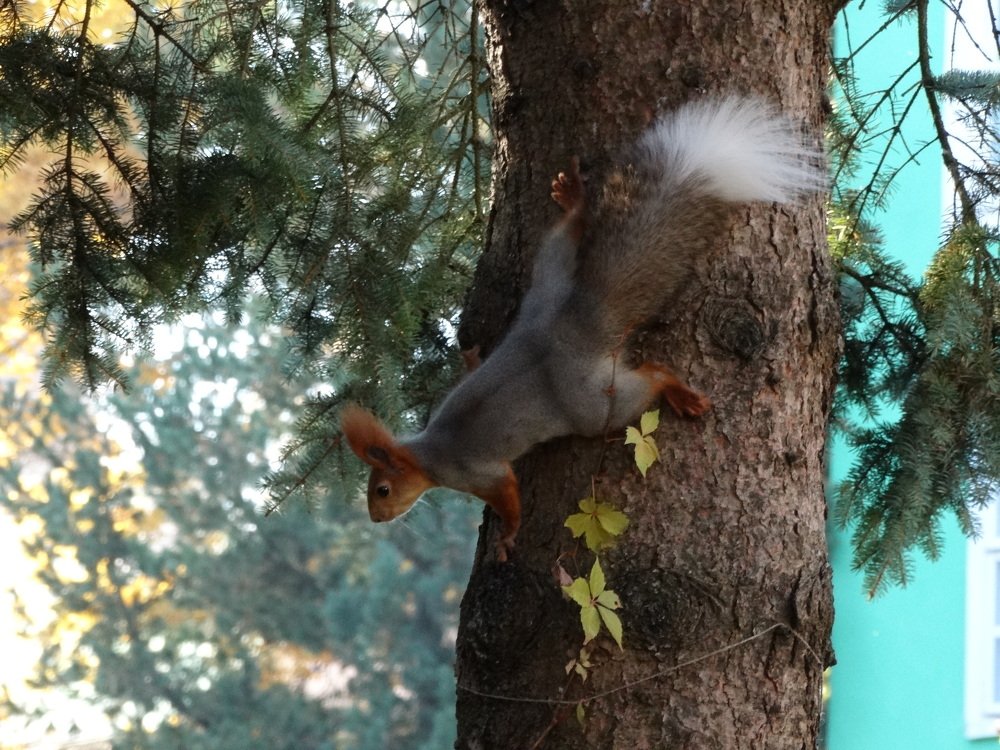 Photograph by Svetlana Mukhina