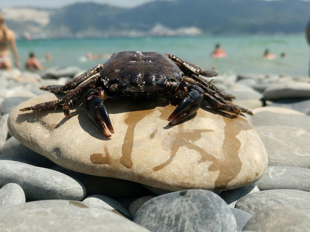 Все на море