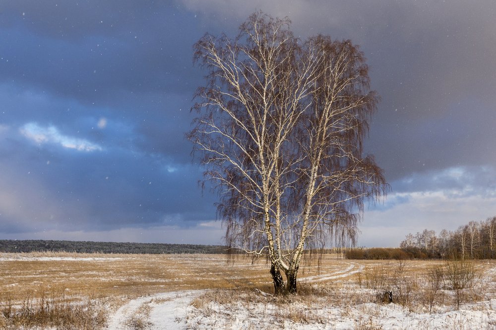 Фотография автора Андрей Логвинович