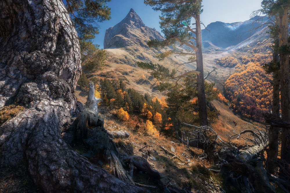 Осенним днём