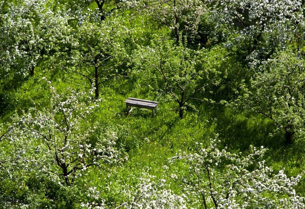 Photograph by Алексей Обухов