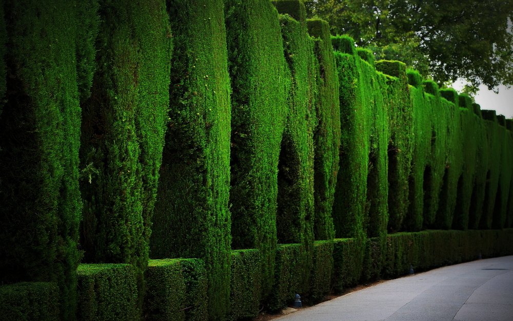 Photograph by Алексей Обухов