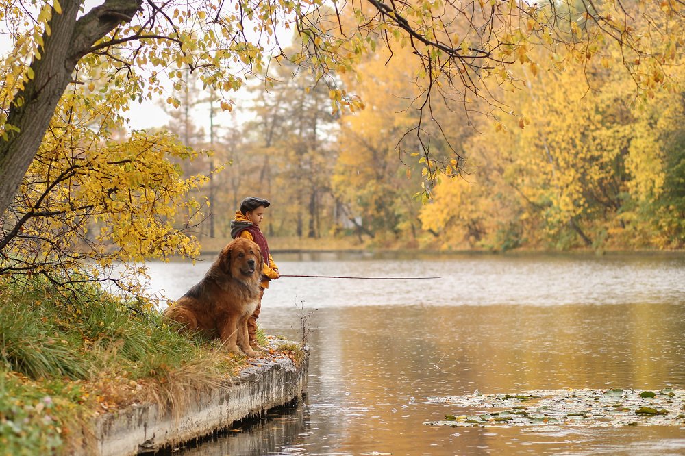 Photograph by Наталья Сидорова