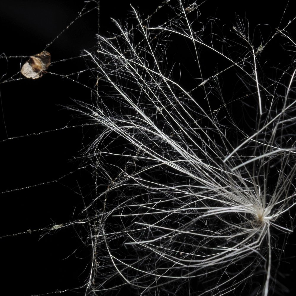 Photograph by Alexander Svetlov