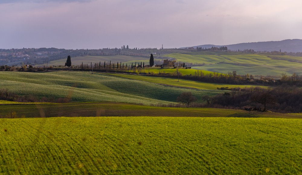 Photograph by Alaa Seif Eddine