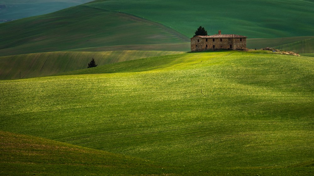 Photograph by Alaa Seif Eddine