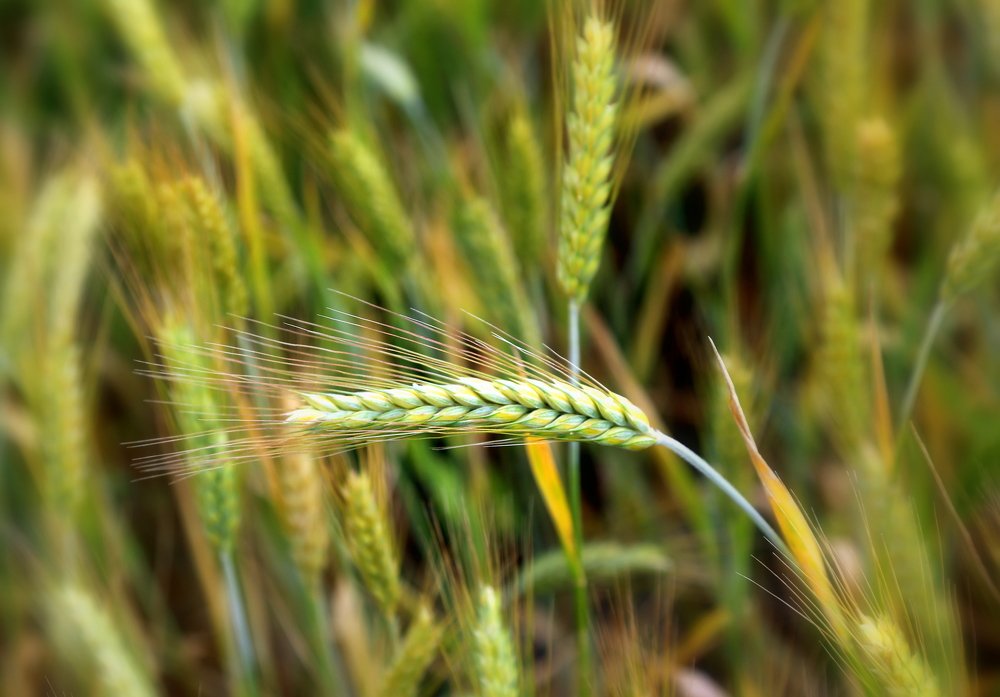 Photograph by Алексей Обухов